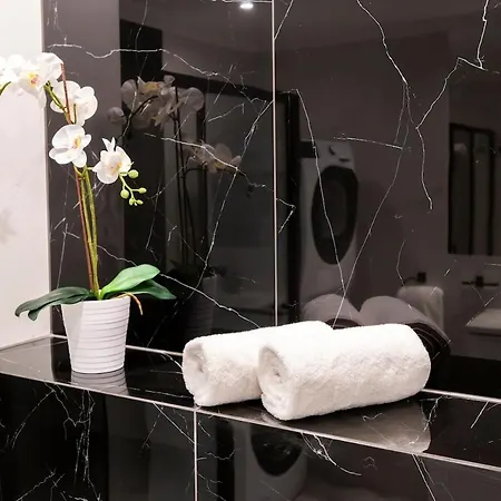 Apartment Luksusowy Przy Parku Tarnowskie Gory