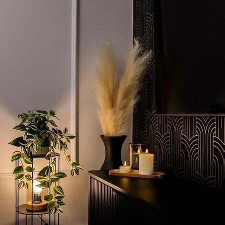 Apartment Luksusowy Przy Parku Tarnowskie Gory
